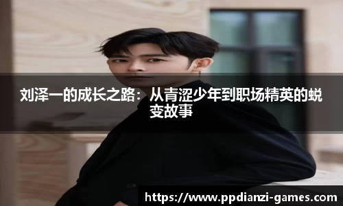 pp电子官网